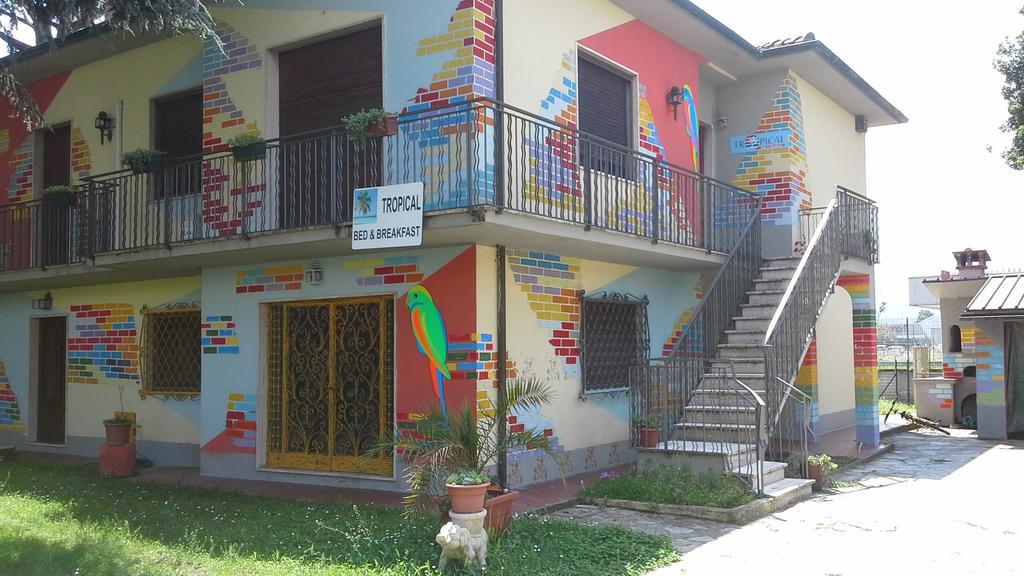 Tropical Bed&Breakfast 卢卡 外观 照片